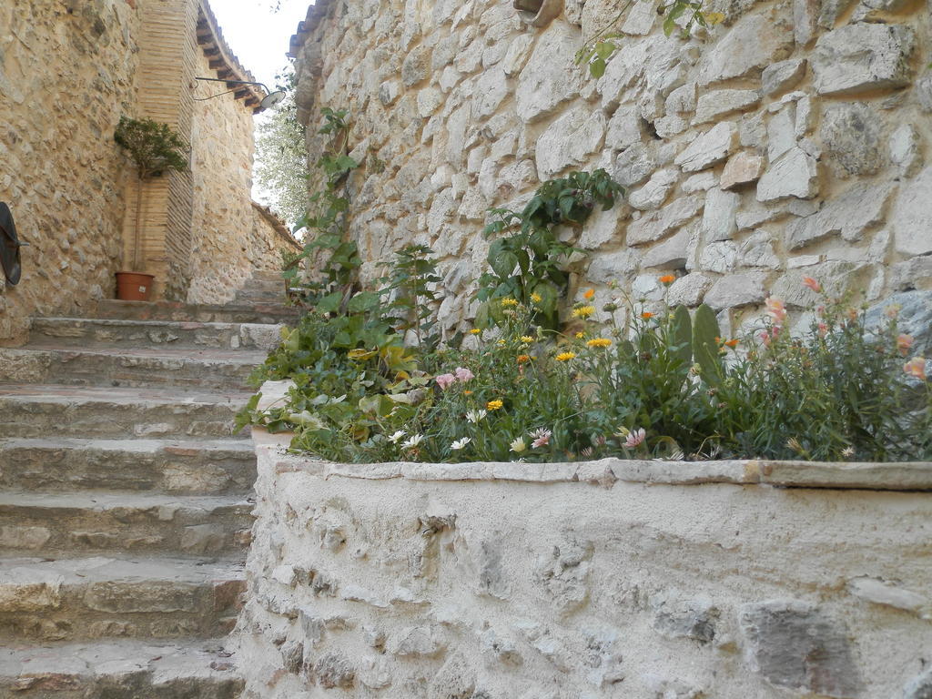 Residenza Di Paese Castello Del Poggio 호텔 페렌틸로 외부 사진