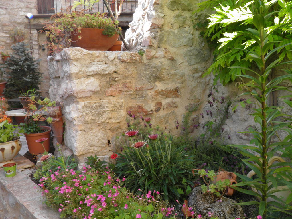 Residenza Di Paese Castello Del Poggio 호텔 페렌틸로 외부 사진