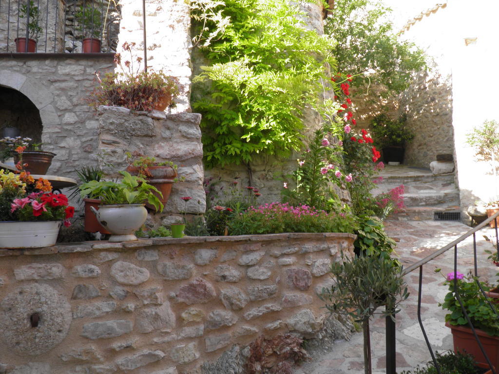 Residenza Di Paese Castello Del Poggio 호텔 페렌틸로 외부 사진