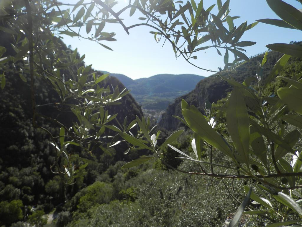 Residenza Di Paese Castello Del Poggio 호텔 페렌틸로 외부 사진