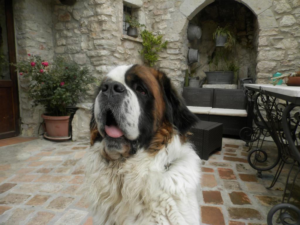Residenza Di Paese Castello Del Poggio 호텔 페렌틸로 외부 사진