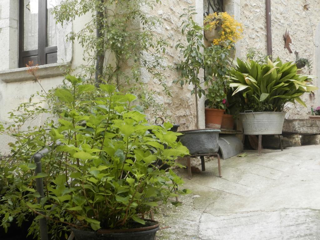 Residenza Di Paese Castello Del Poggio 호텔 페렌틸로 외부 사진